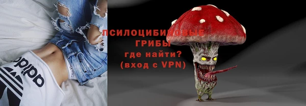 гашик Зеленодольск