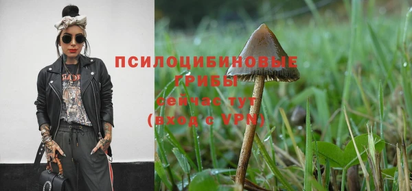 гашик Зеленодольск