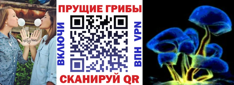 Купить закладки  Ивантеевка  Галлюциногенные грибы Psilocybine cubensis 